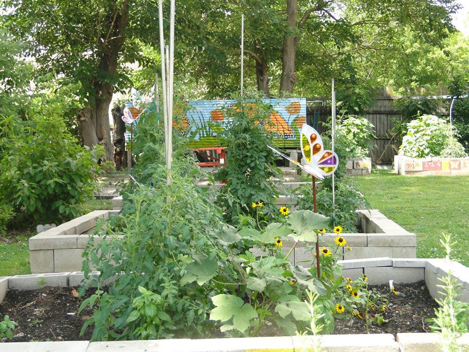 Image selected by project leader