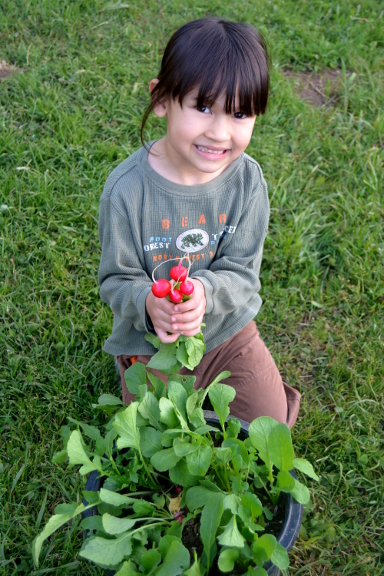 Image selected by project leader
