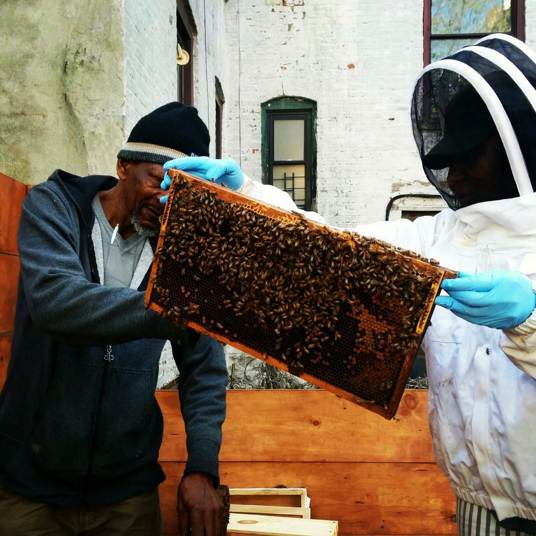 Image selected by project leader