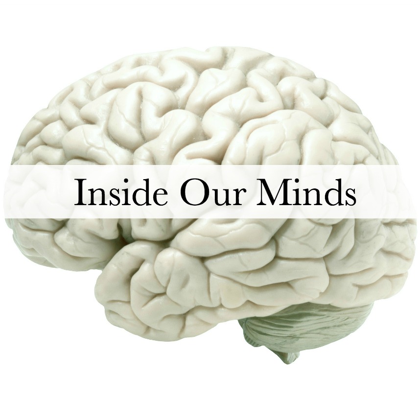 Image selected by project leader