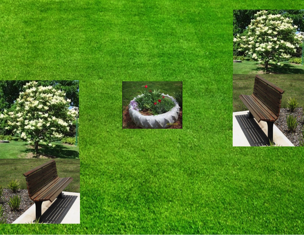Image selected by project leader