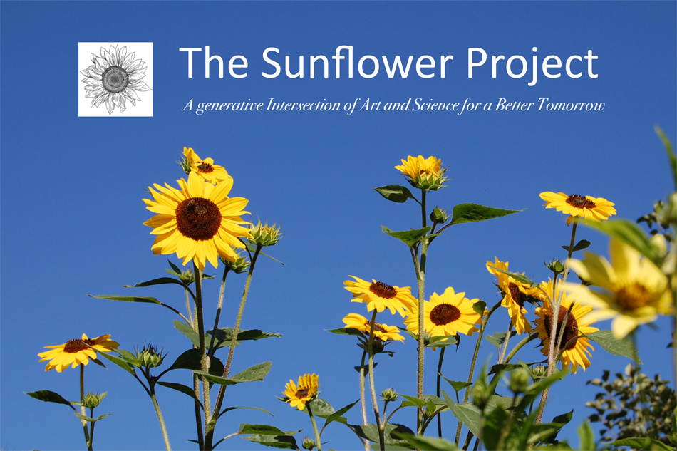 Image selected by project leader