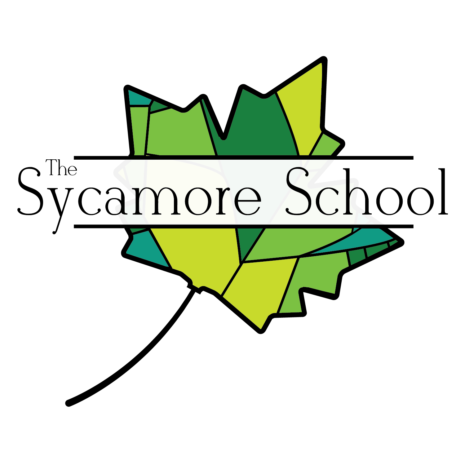 Image selected by project leader