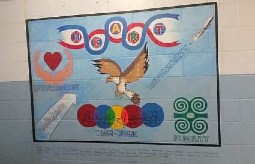 Image selected by project leader