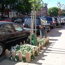 Image selected by project leader