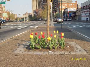 Image selected by project leader